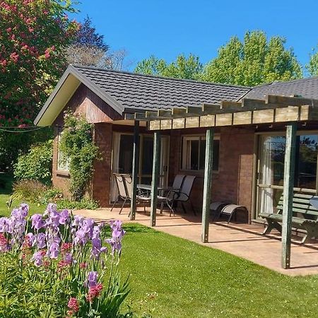 Dewdrop Cottage Hastings Exterior foto